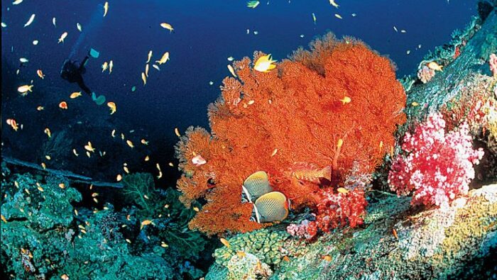 Ecosistemele acvatice, un subiect fragil